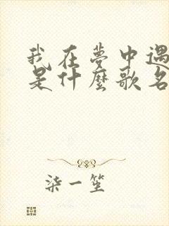 我在梦中遇见你是什么歌名
