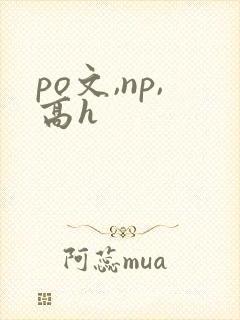 po文,np,高h