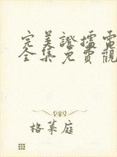 完美证据电视剧全集免费观看