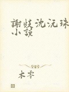 谢歧沈沅珠全文小说