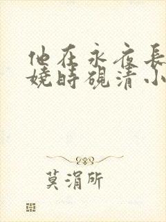 他在永夜长眠苏娆时砚清小说