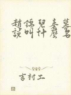 赵锦儿秦慕修小说叫什么名字