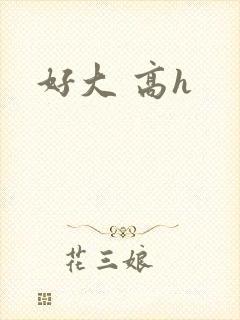 好大 高h