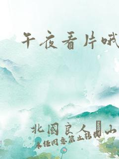 午夜看片哦