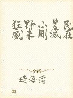 狂野小农民电视剧未删减在线观看