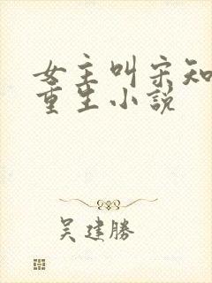 女主叫宋知意的重生小说