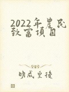 2022年农民致富项目