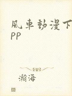 风车动漫下载app