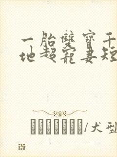一胎双宝千亿爹地超宠妻短剧在线全集