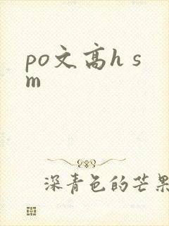 po文高h sm