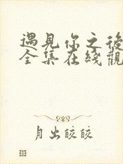 遇见你之后韩剧全集在线观看