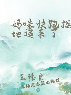 妈咪快跑总裁爹地追来了