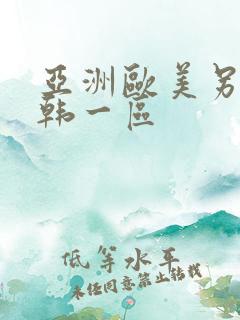 亚洲欧美另类日韩一区