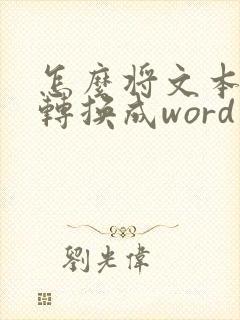 怎么将文本格式转换成word