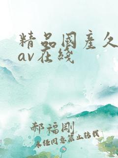精品国产久久久av在线