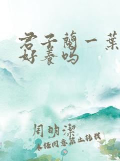 君子兰一叶小苗好养吗