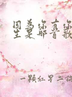 因为你有你的人生是哪首歌的歌词