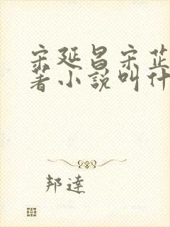 宋延昌宋芷欣原著小说叫什么