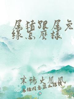 属猪跟属兔的姻缘怎么样