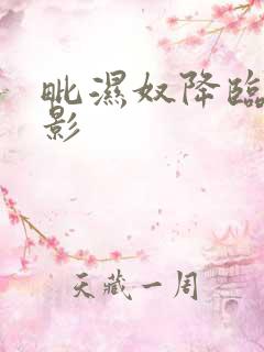 毗湿奴降临 电影
