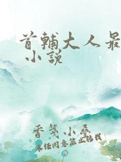 首辅大人最宠妻 小说