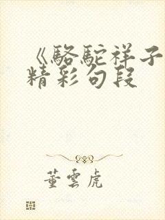 《骆驼祥子》的精彩句段