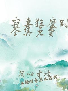 宠妻狂魔别太坏全集免费