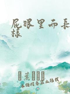 屁眼里面长什么样