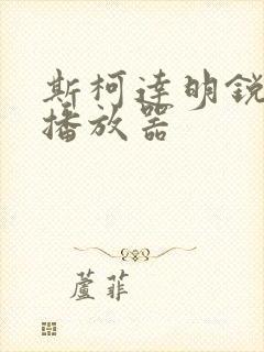 斯柯达明锐车载播放器