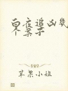 白夜追凶几集一个案子
