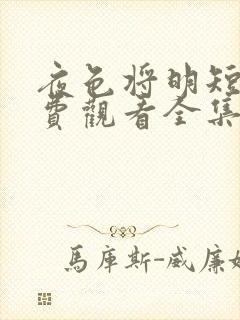 夜色将明短剧免费观看全集大结局