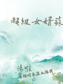 超级女婿苏迎夏