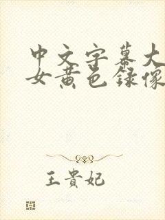 中文字幕大奶美女黄色录像