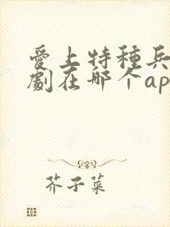 爱上特种兵电视剧在哪个app可以看