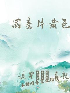 国产片黄色录像