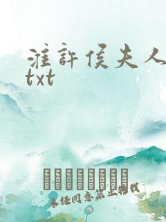 淮许侯夫人小说txt