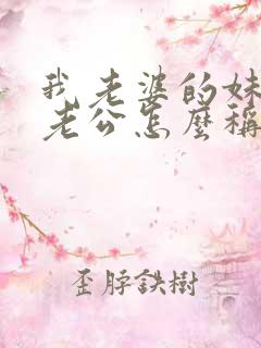 我老婆的妹妹的老公怎么称呼