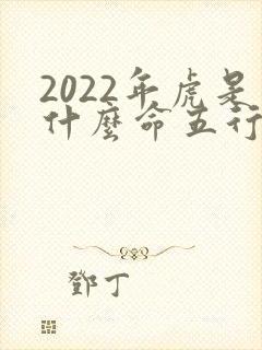 2022年虎是什么命五行属相