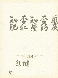 知否知否应是绿肥红瘦的原著是什么