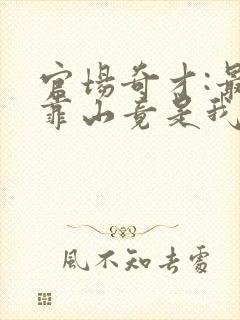 官场奇才:最强靠山竟是我自己李霖免费