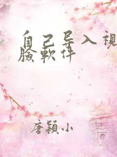 自己导入视频换脸软件