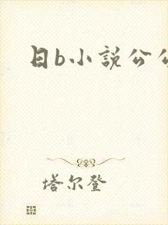 日b小说公公