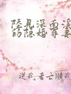 陆见深南溪陆少的隐婚罪妻