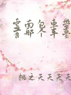 云南包车带司机有哪个平台