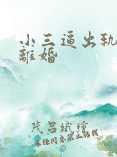 小三逼出轨老公离婚