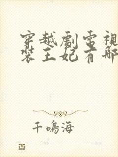 穿越剧电视剧古装王妃有哪些