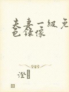 夫妻一级免费黄色录像