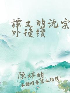 谭又明沈宗年番外后续