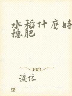 水稻什么时候撒穗肥