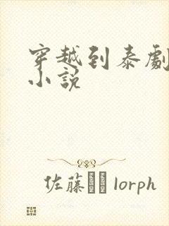 穿越到泰剧里的小说